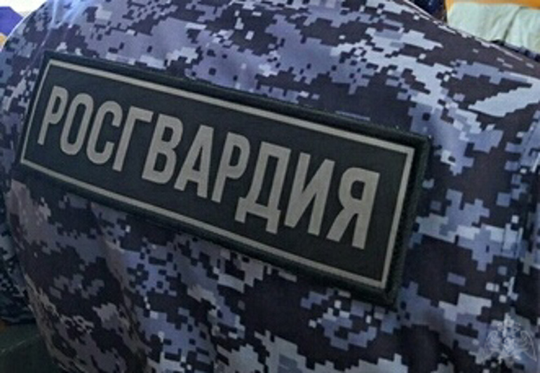 Пьяный костомукшанин привлёк внимание росгвардейцев