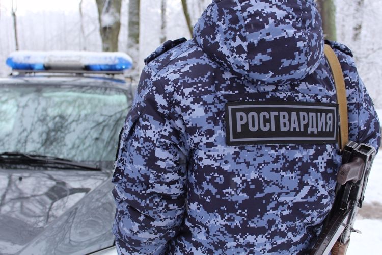 В Олонце вневедомственной охраной за нарушение общественного порядка задержан местный житель