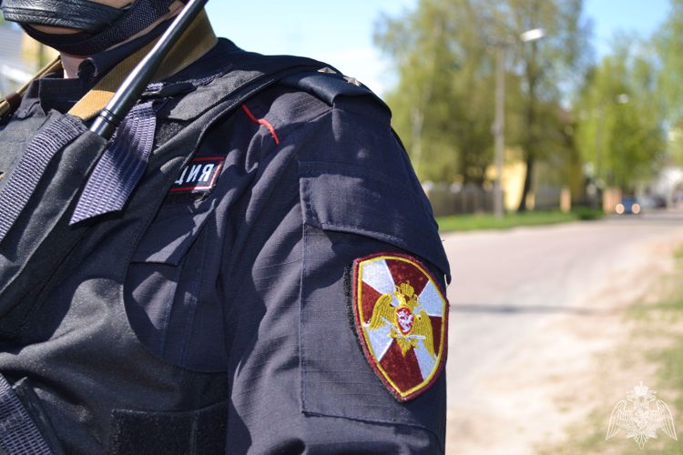 В Сегеже вневедомственной охраной пресечена попытка хищения