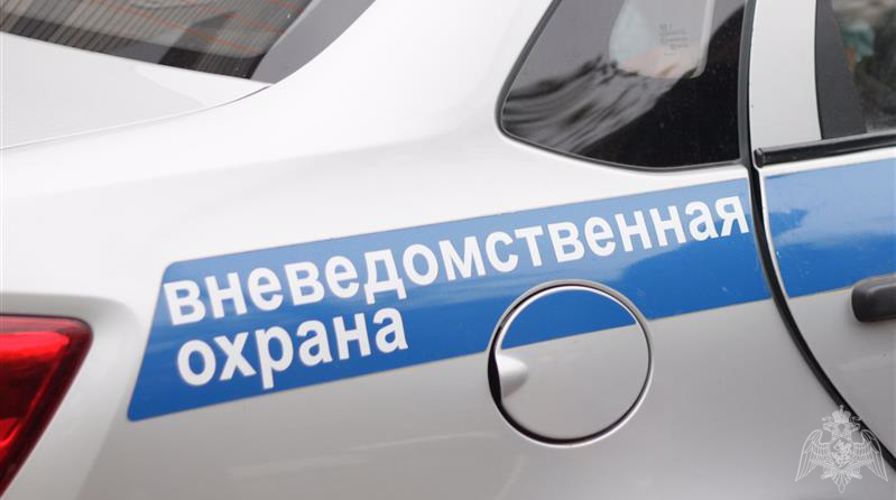 В Карелии росгвардейцы пресекли девять попыток хищения имущества