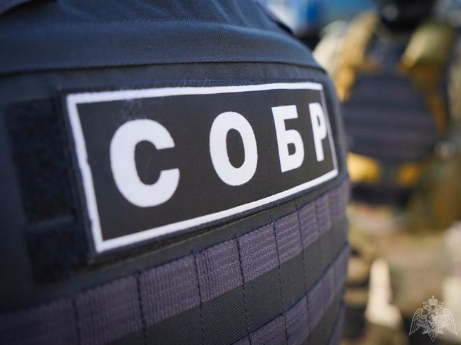 При содействии карельского СОБР задержаны подозреваемые в мошенничестве