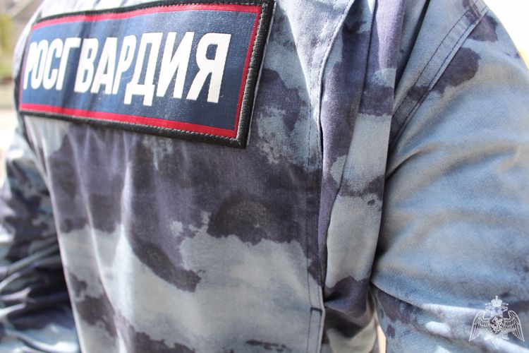 Росгвардейцы раскрыли два грабежа