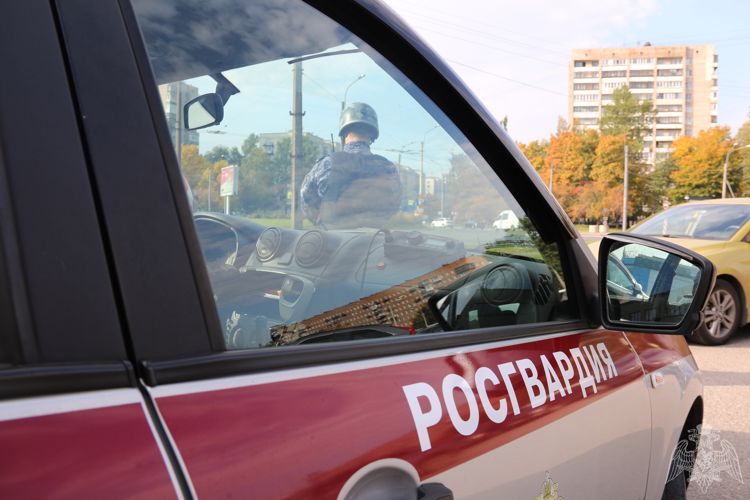 Сотрудники Росгвардии Карелии совершили около 700 выездов по сигналам тревоги
