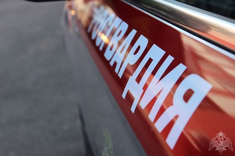 Сотрудники Росгвардии задержали гражданина за хищение продуктов