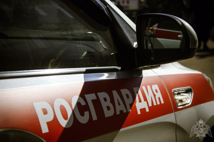 Сотрудники Росгвардии задержали правонарушителя в столице Карелии