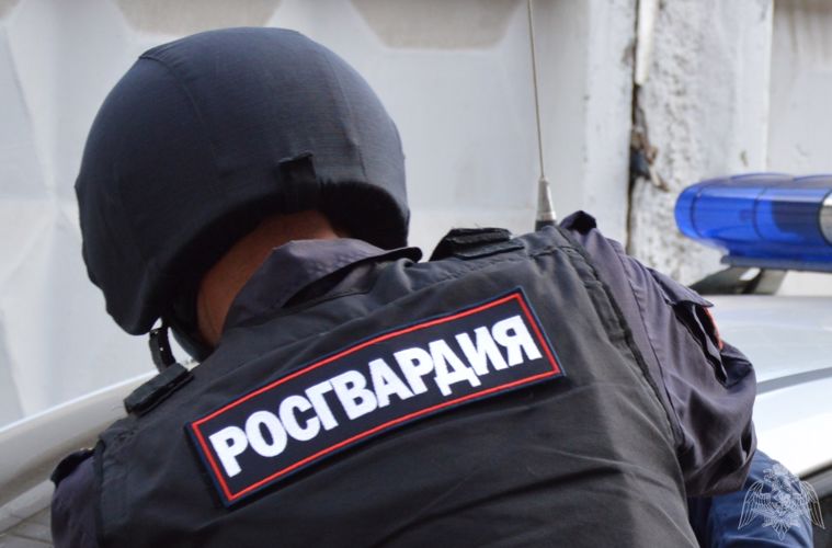 В Петрозаводске сотрудники Росгвардии задержали граждан, повредивших имущество