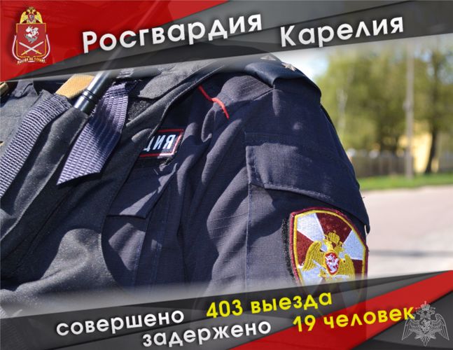 Карельские росгвардейцы за неделю пресекли 14 попыток хищения