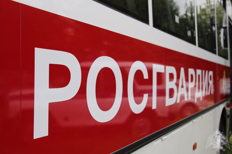 В Карелии сотрудники Росгвардии задержали гражданина за порчу товара 