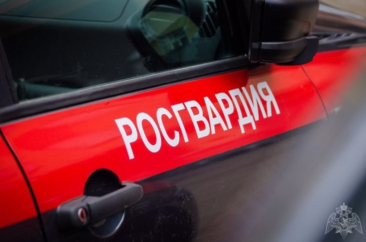 В Карелии вневедомственная охрана пресекла кражу с охраняемого объекта 