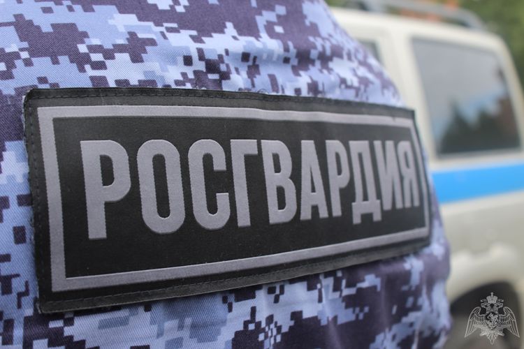Карельские росгвардейцы пресекли попытки хищения товаров 