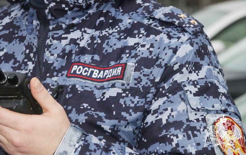 Сотрудники вневедомственной охраны Росгвардии пресекли попытки хищения в гипермаркетах Карелии