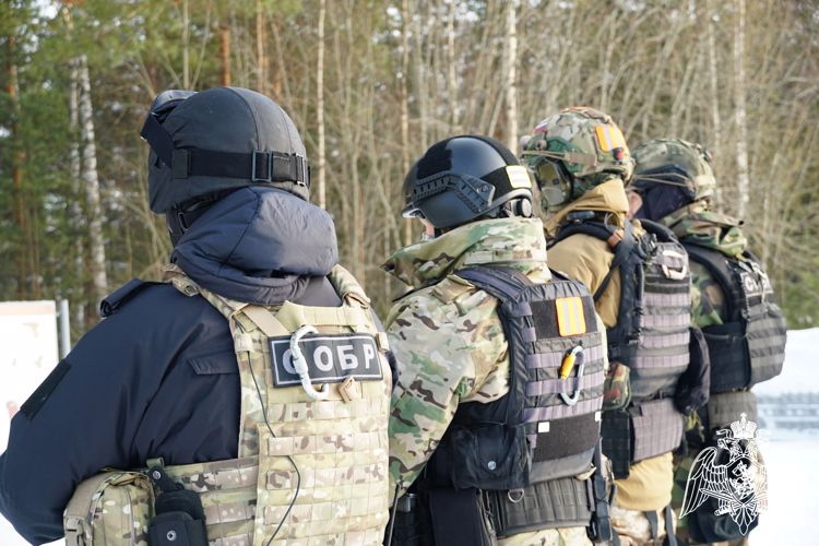 В Карелии состоялись тактико-строевые занятия при участии спецподразделений Росгвардии