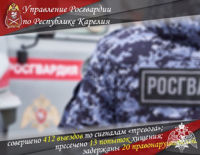 В Карелии группы задержания вневедомственной охраны Росгвардии пресекли 13 попыток хищения
