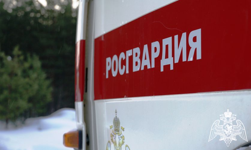 Сотрудники Росгвардии задержали нарушителя в одной из гостиниц Карелии