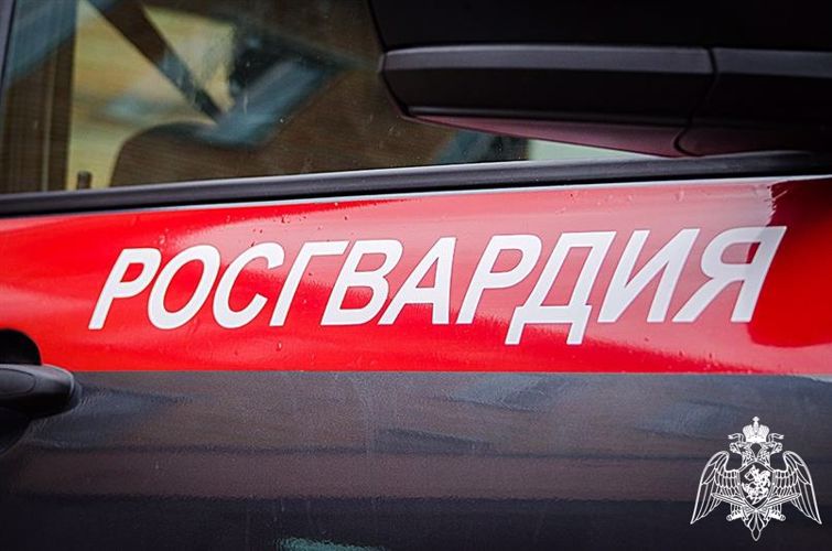 Карельские росгвардейцы за неделю задержали 15 правонарушителей