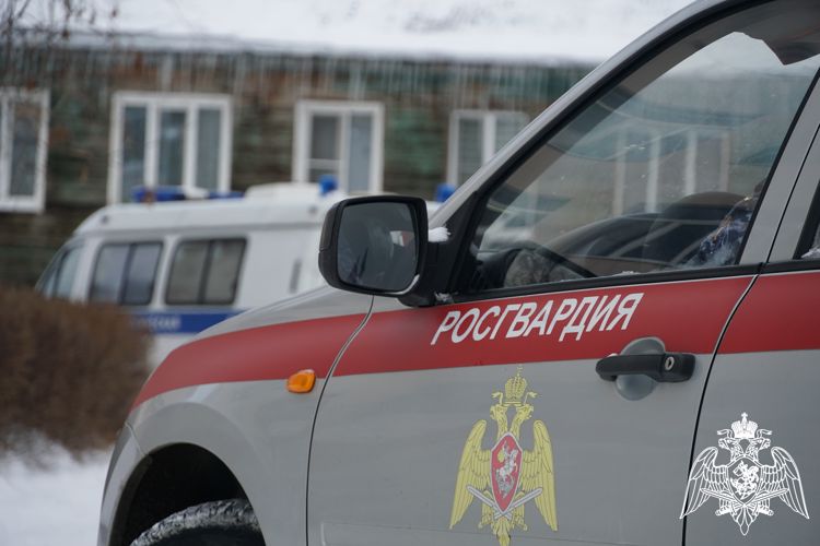 Карельские росгвардейцы задержали мужчин, которые угрожали жизни окружающих