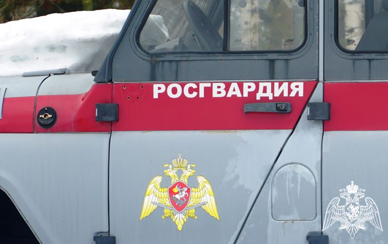 В Петрозаводске представители вневедомственной охраны пресекли драку в баре