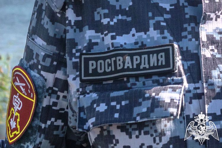Наряд Росгвардии задержал дебошира в одном из домов Кондопоги