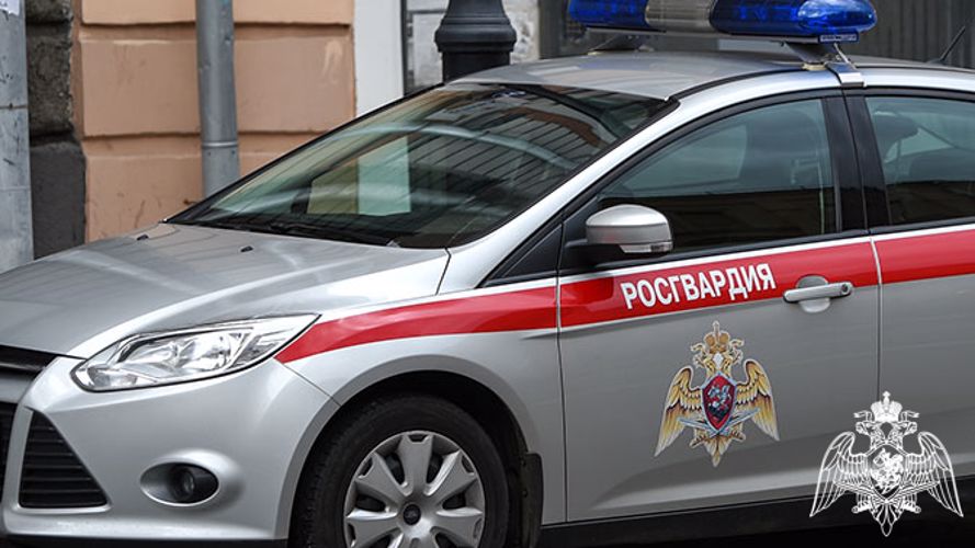 В Карелии сотрудники Росгвардии задержали нескольких похитителей