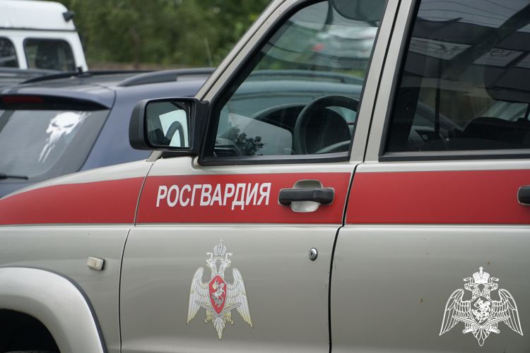 За неделю вневедомственная охрана Карелии более 340 раз выезжала по тревоге