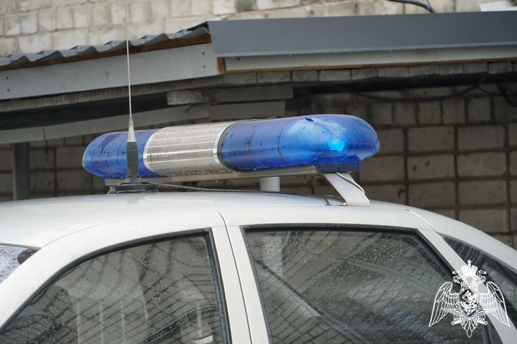 Карельские росгвардейцы задержали двух дебоширов