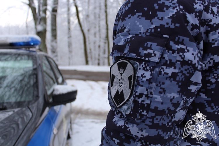 Представители Росгвардии задержали нарушителей на охраняемых объектах Карелии