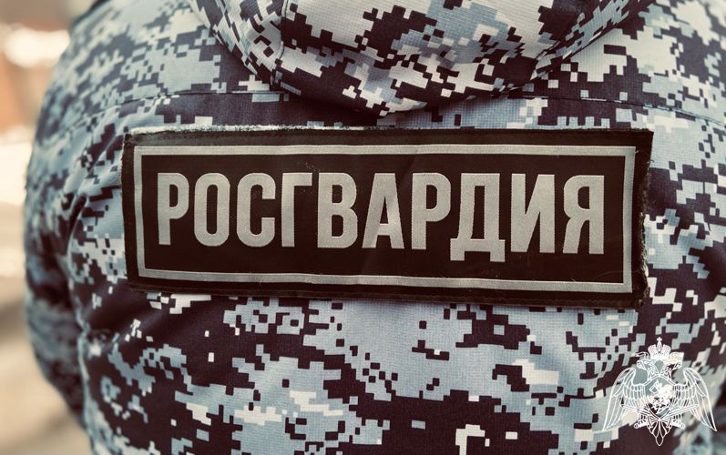 Группы задержания вневедомственной охраны пресекли несколько правонарушений за выходные дни