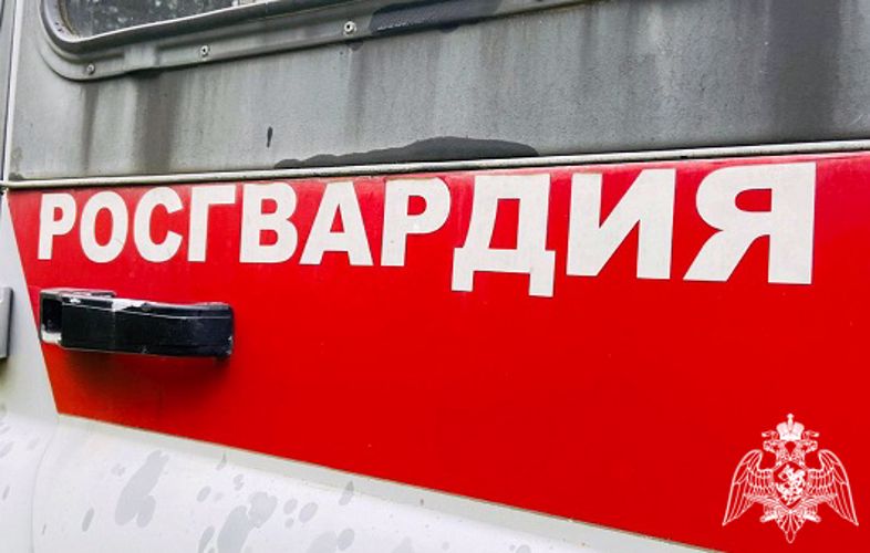В Карелии представители Росгвардии задержали 14 правонарушителей