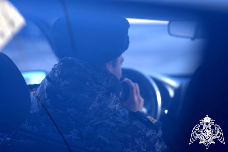 Представители вневедомственной охраны задержали нескольких правонарушителей в районах Карелии