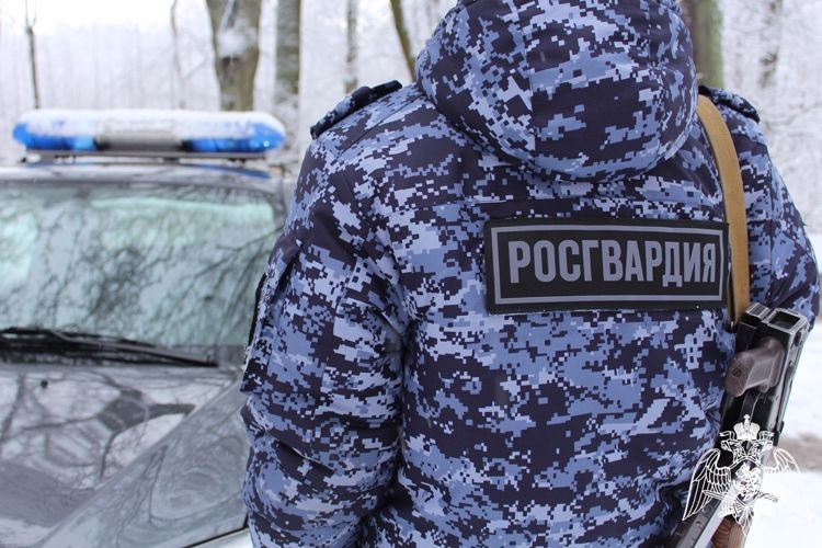 В двух районах Карелии на охраняемых объектах сработали тревожные кнопки