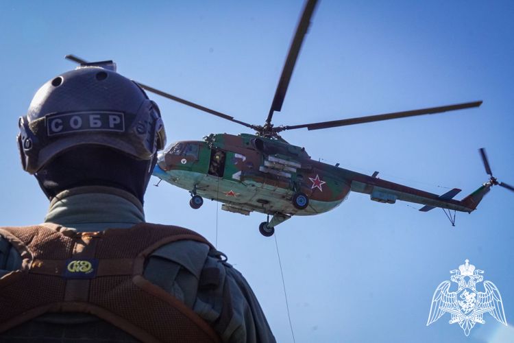 Под Петербургом сотрудники карельского ОМОН «Илвес» отработали беспарашютное десантирование (видео)