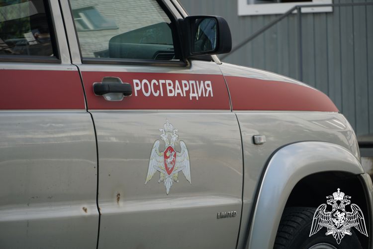 Группы задержания вневедомственной охраны Росгвардии пресекли несколько правонарушений за выходные дни