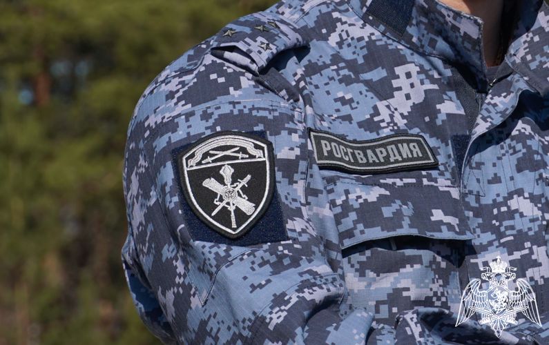 Росгвардейцы за неделю совершили около 400 выездов на охраняемые объекты Карелии