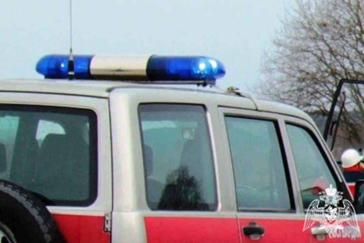 Патрули Росгвардии в Карелии за неделю задержали 16 правонарушителей