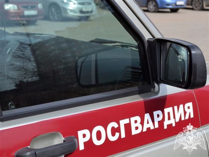 Росгвардейцы задержали агрессивного посетителя в баре Костомукши