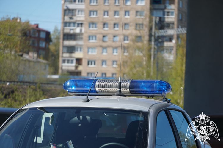 За неделю патрули Росгвардии задержали 14 человек в районах Карелии