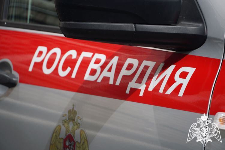Карельские росгвардейцы задержали буйного гражданина