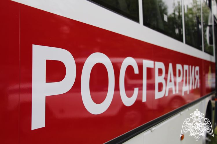 В Карелии патрули Росгвардии задержали граждан за совершенные правонарушения