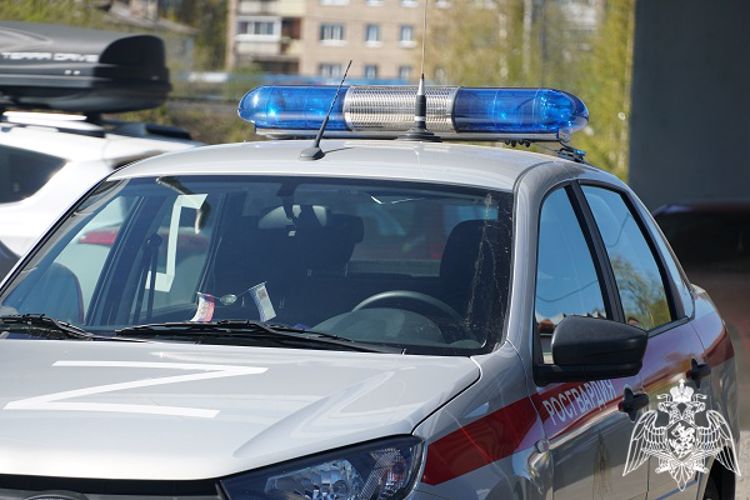 В Петрозаводске сотрудники торгового заведения обратились за помощью к росгвардейцам