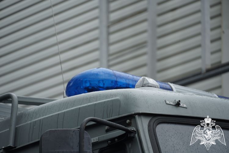 Карельские росгвардейцы задержали граждан, подозреваемых в хищениях