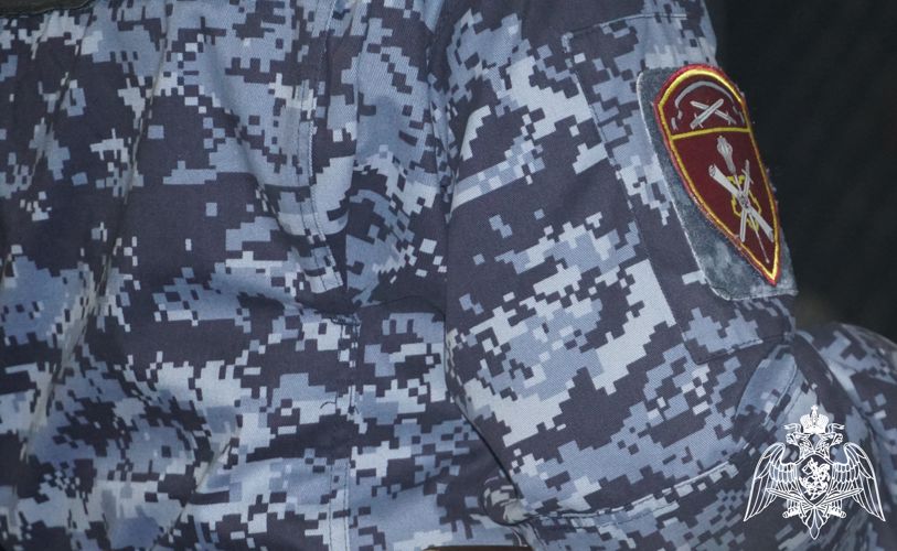 Группы задержания Росгвардии несколько раз выезжали на охраняемые объекты Карелии