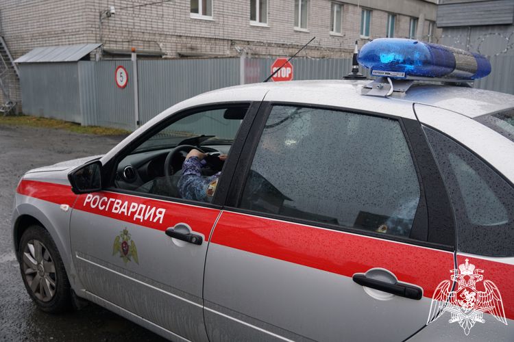 В Карелии сотрудники вневедомственной охраны задержали двух правонарушителей
