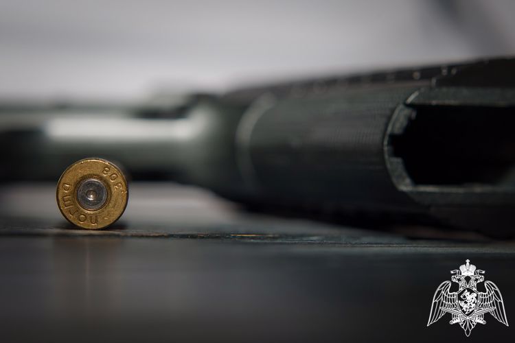 Карельские росгвардейцы изъяли у нарушителей 6 единиц оружия