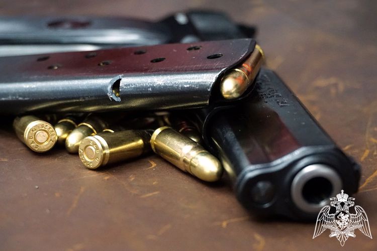 Росгвардейцы Карелии изъяли у нарушителей 10 единиц оружия