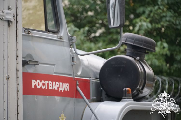 Сотрудники вневедомственной охраны пресекли правонарушения в районах Карелии