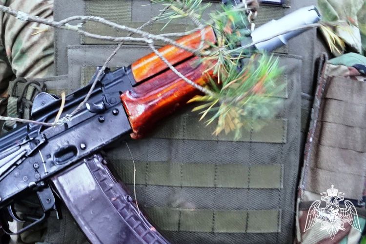 Карельские росгвардейцы изъяли у нарушителей 19 единиц оружия