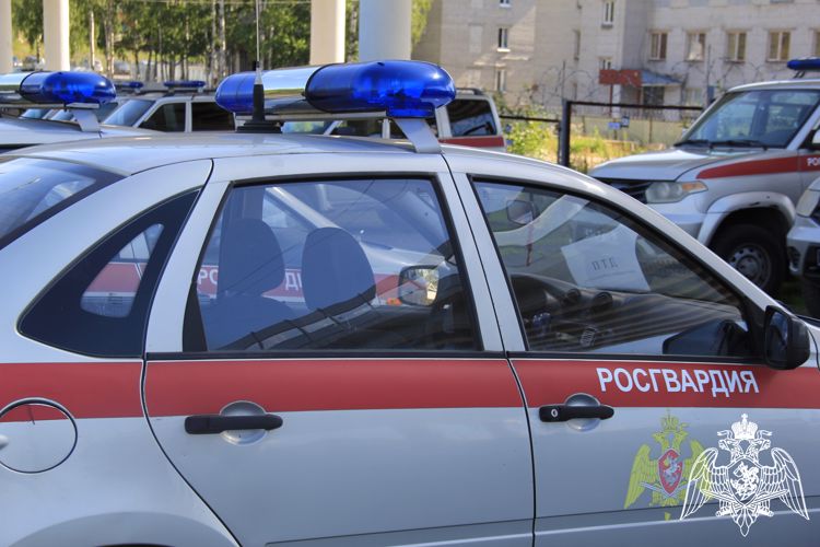 Росгвардейцы задержали нескольких петрозаводчан, подозреваемых в хищении