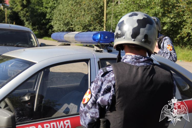Представители вневедомственной охраны Росгвардии за неделю задержали 17 правонарушителей в Карелии