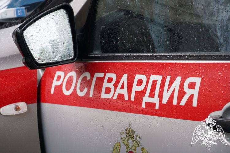 Группа задержания Росгвардии пресекла действия нетрезвого водителя в столице Карелии