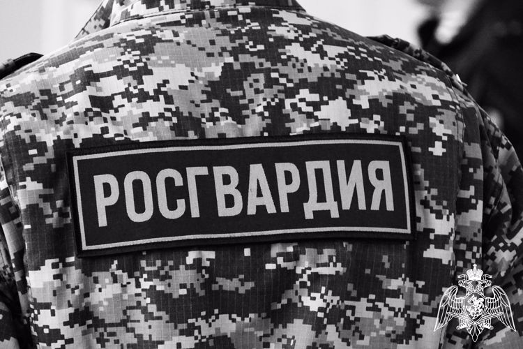 Патрули вневедомственной охраны оказали помощь торговым заведениям в районах Карелии